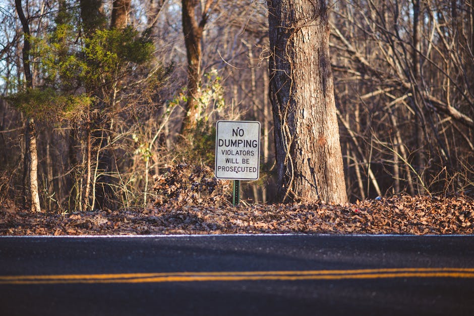 A roadside scene featuring a white rectangular sign with black text that reads 'No Dumping Violators Will Be Prosecuted,' positioned among leafless trees and shrubs in a wooded area. The sign is mounted on a metal post set into a small mound of brown, dried leaves and debris. Behind the sign, there is a large tree with textured, dark brown bark and a canopy of sparse, bare branches. In the foreground, a section of dark asphalt road with visible yellow dividing lines runs horizontally, with a thin white line marking the edge of the pavement. The environmental setting suggests a rural or semi-urban area near woodland, with natural light illuminating the scene. The sign indicates an effort to prevent illegal dumping and unapproved waste disposal in this natural environment, aligning with the context of waste management and rubbish removal services provided by Waste Disposal Mayfair. The overall scene combines elements of natural surroundings with a clear warning about illegal dumping, emphasizing the importance of lawful waste disposal practices even in less developed areas.